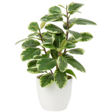 Camellia Artificial Plant Fake Plant in Pot Faux Camellia Plants Artificial Potted Plants for Home Decor, 11"/28cm Faux