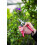 Felco FELCO322 Model 322 Snips, Red 3