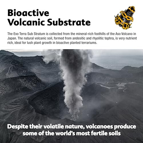 Bioactive Volcanic Substrate 4kg 2