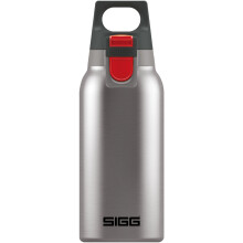 - Insulated Water Bottle - Thermo Flask Hot & Cold One - With Tea Filter - Leakproof - BPA Free - 18/8 Stainless Steel -
