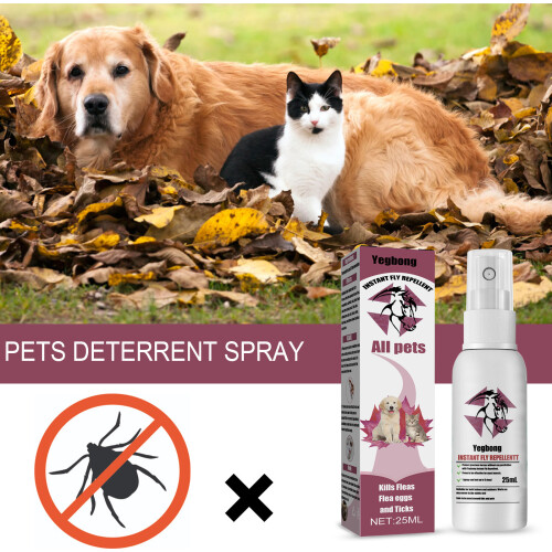 Pet Fur Spray Flea & Tick Control 2