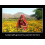 Organic Mustard Oil, Cold Pressed (1L) 7