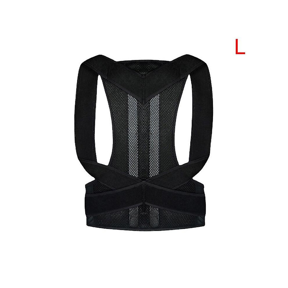 (L) Posture Corrector Back Posture Adjustable Back Trainer Unisex Correction Belt