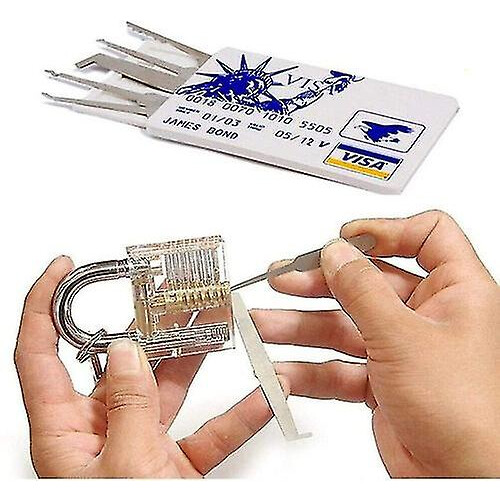 30pcs Lock Picking Kit Tools Unlocking Set Lock Picks 1