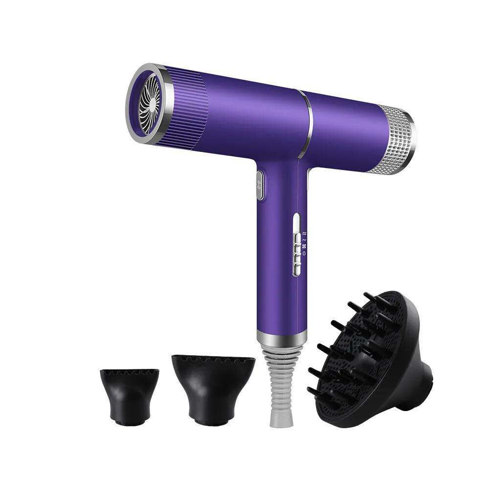 (Purple) Ionic Hair Dryer Hair Super Wind Silent Hair Dryer