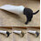 3pcs Dog Butt Toothpaste Topper Toothpaste Squeezer 4