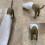 3pcs Dog Butt Toothpaste Topper Toothpaste Squeezer 2