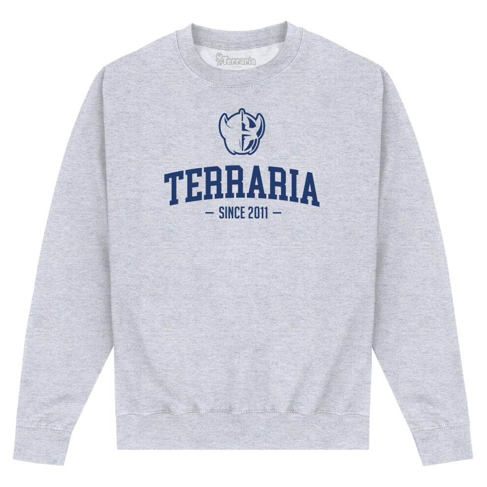 (XL, Heather Grey) Terraria Unisex Adult Printed Sweatshirt