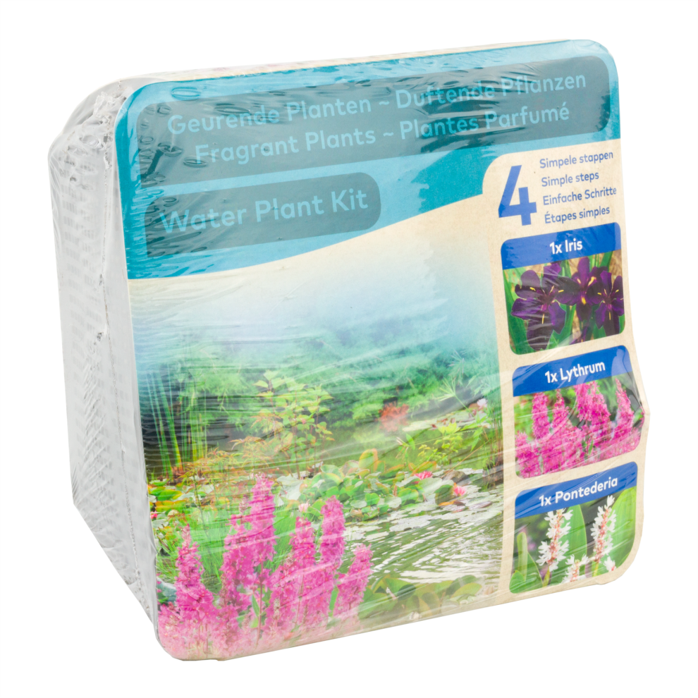Moerings Waterplants Zone 3 Pond Plants Complete Aquatic Planting Kit - Fragrant Plants (Iris, Lythrum, and Pontederia)