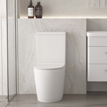 Comfort Height Toilet Close Coupled Toilet Soft Close Seat Dual Flush
