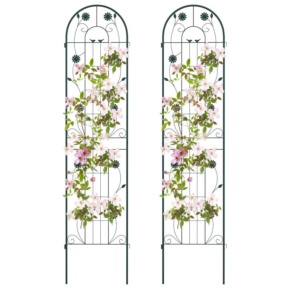 2 Pack Trellis 220 cm x 50 cm Metal Wire Garden Screens Backyard Lawn