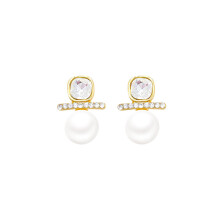 Earring ornament