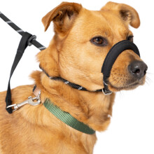 Figure of 8 Dog Lead - Anti Pull Stop Dogs Pulling - Rope Slip Leads with Padded Nose Support (Medium/Large) Black
