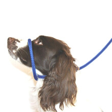 Cine ?i cmp Figura 8 Anti Pull Leash/Halter/Head Guler - O singura dimensiune se potrive?te tuturor - nylon super moale - instruc?iuni de monta