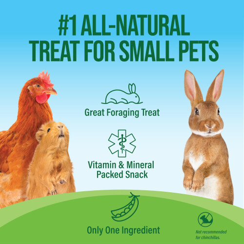 Small Pet Select Pea Flakes 16oz, 453g 1