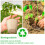 100 Pcs 6cm Fibre Seed Pots Biodegradable Plant Pots Small Seedling Pots with 100Pcs Plastic Plant labels 1x5cm 3
