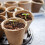 100 Pcs 6cm Fibre Seed Pots Biodegradable Plant Pots Small Seedling Pots with 100Pcs Plastic Plant labels 1x5cm 6
