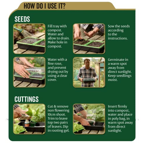 Westland John Innes Peat Free Seed Sowing Compost 10L 1