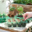 Westland John Innes Peat Free Seed Sowing Compost 10L 3
