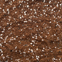 Coco Perlite Mix 70/30 with activated biochar - Enhanced Potting Soil Mix for Optimal Plant Growth and Health (5L)