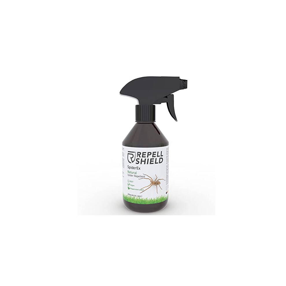 RepellShield Spider Repellent Spray - 250ml - Peppermint Oil Spider Repellent - Spider Killer & Spider Killer Spray Indoor Alternative - Spider