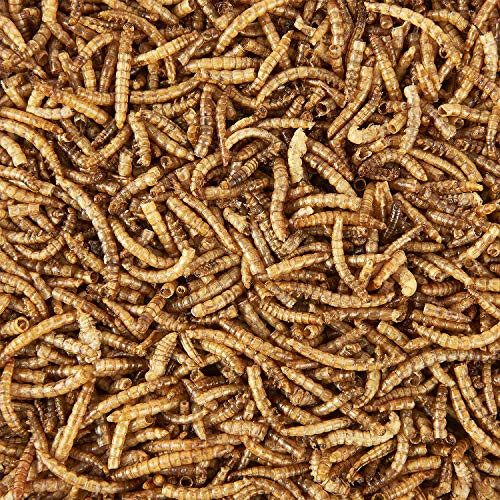 Dried Mealworms Tub, 3 Litre 2