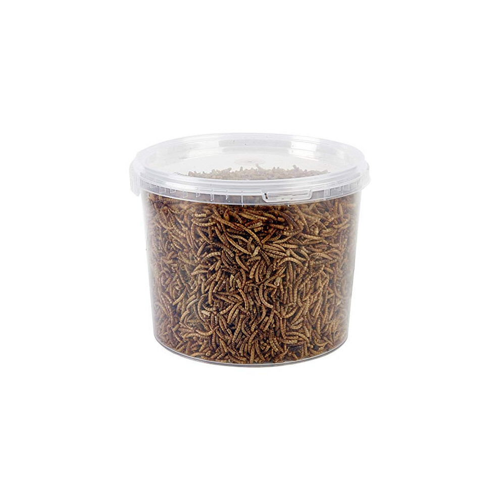 Dried Mealworms Tub, 3 Litre