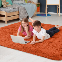 (120cm x 170cm (4ft x 5ft 8")., Rust Orange) Non Slip Rug  Area Rug Living Room Bed Room