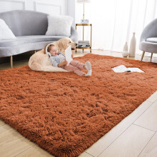 (160cm x 230cm (5ft 4" x 7ft 8")., Rust Orange) Non Slip Rug Area Rug Living Room Bed Room