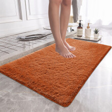 (60cm x 110cm (2ft x 3ft 7")., Rust Orange) Non Slip Rug Area Rug Living Room Bed Room