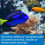 API Aqua Essential Aquarium Water Conditioner 473 ml Bottle 5
