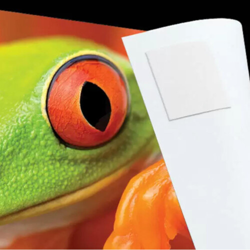 Lineco Self Adhesive Photo Mounting Tabs (500 Pack) 1