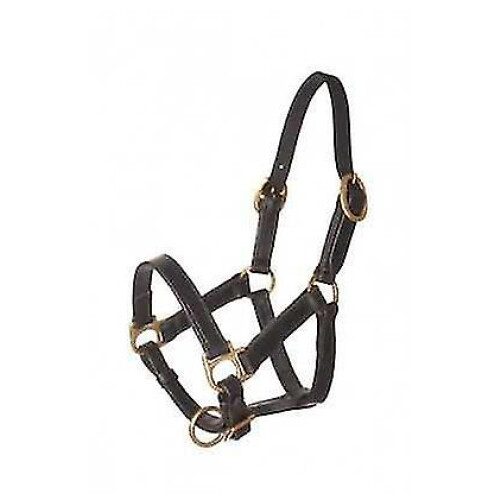 (Black) Baby Foal Leather Halter