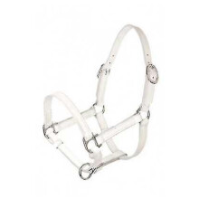 (White) Baby Foal Leather Halter