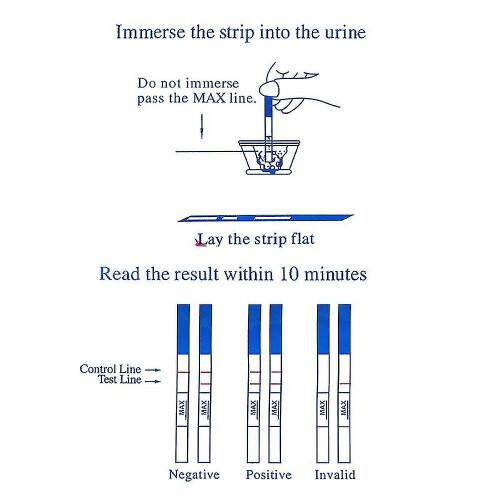 Lh Test Strips First Response Over 99% Accuracy Lh Ovulation Test Strips Test Shytmv 1