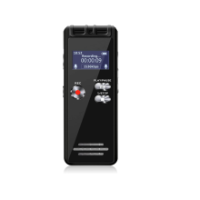 16 GB digitálny hlasom aktivovaný rekordér Mini záznamové zariadenie zvuku s prehrávaním a heslom Professional Diktafón