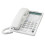 Panasonic 2-Line Feature Phone with LCD White 1