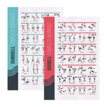 - FitMate Dumbbell and Barbell Workout Exercise Poster, 2-Pack, Workout Routine with Free Weights, Home Gym Decor, Room Guide (42 x 63 cm)