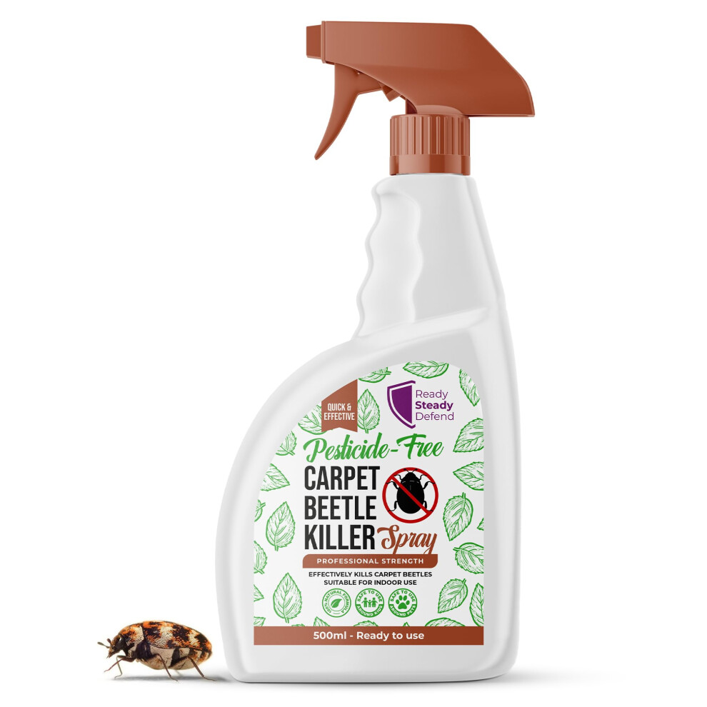 Carpet Beetle Killer Spray, 500ml - Polymer - Fast-Acting & Long-Lasting Formula for Home and Office, Effective Against All Beetle Stages, Easy to Use