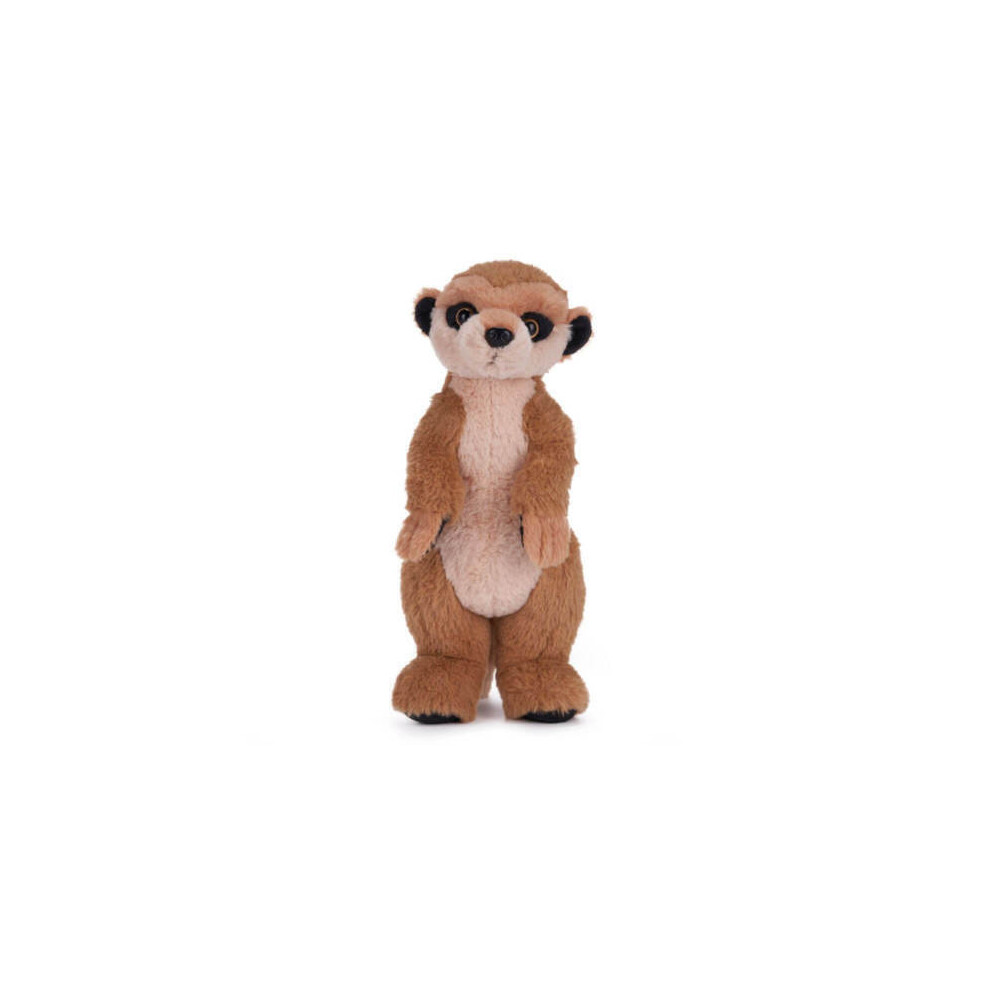 Photos - Other Toys  12" BBC Planet Earth Around the World Animals Toy(Meerkat)