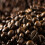 Lichfields Italian Espresso Beans 1KG 2