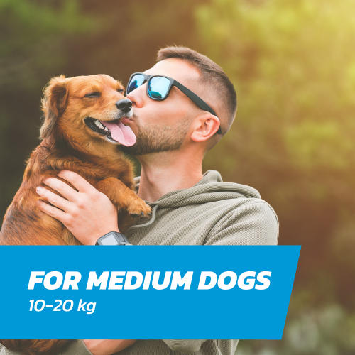 Fleasolve Spot On Medium Dog x3 Flea Treatment 2