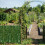 Artificial Ivy Leaf Hedge Roll | Privacy Fence Screen | 3m 3