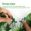 Artificial Ivy Leaf Hedge Roll | Privacy Fence Screen | 3m 6