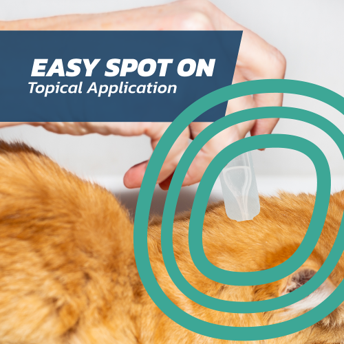 Fleasolve Spot On Cat x6 Flea Treatment 2