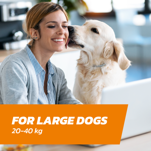 Fleasolve Spot On Large Dog x3 Flea Treatment 2