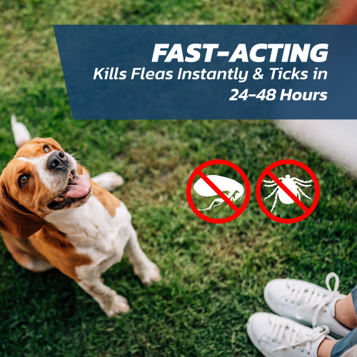 Fleasolve Spot On Large Dog x6 Flea Treatment 2