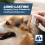 Fleasolve Spot On Large Dog x6 Flea Treatment 4