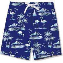 (Blue2, 13-14 Years Plus) Boys Swimming Trunks Kids Summer 3d Print Swim Shorts Funky Uv Protection Quick Dry Loose Beach Shorts With Pockets 7-14 Years Raoliang