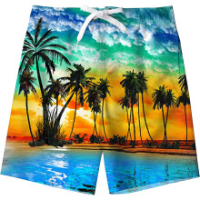 (Palm Tree1, 5-6 Years Plus) Boys Swimming Trunks Kids Summer 3d Print Swim Shorts Funky Uv Protection Quick Dry Loose Beach Shorts With Pockets 7-14 Years Raoliang